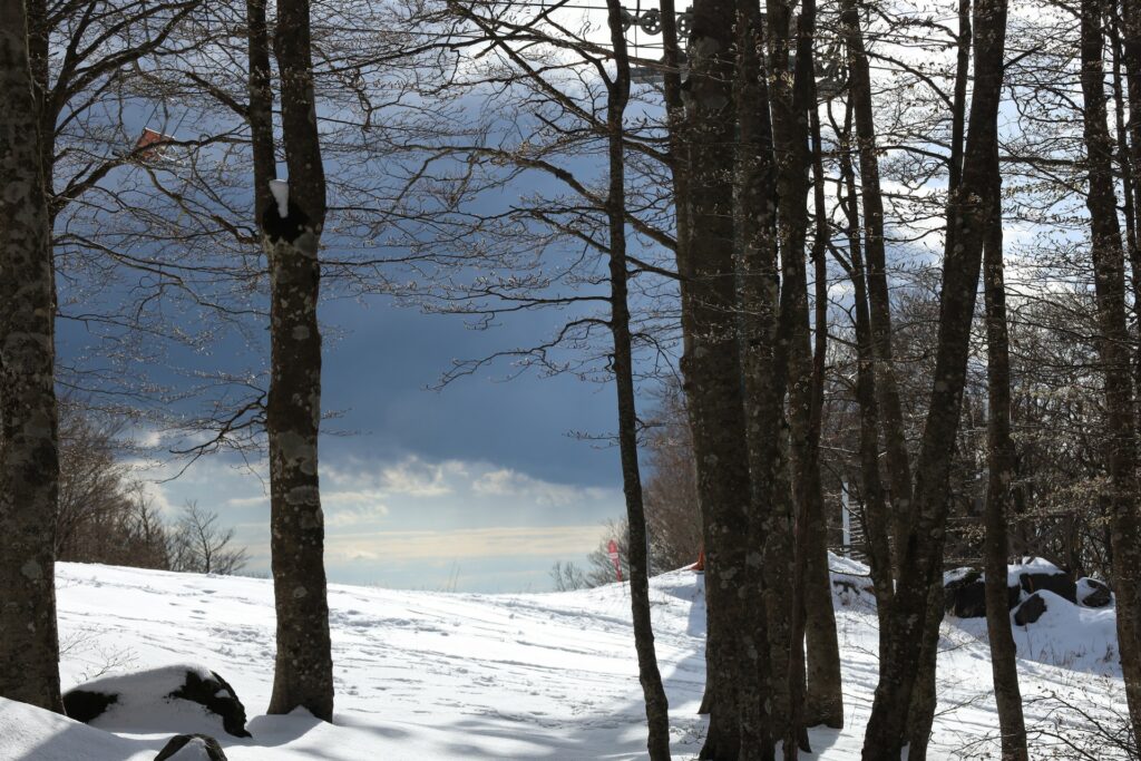 Monte Amiata