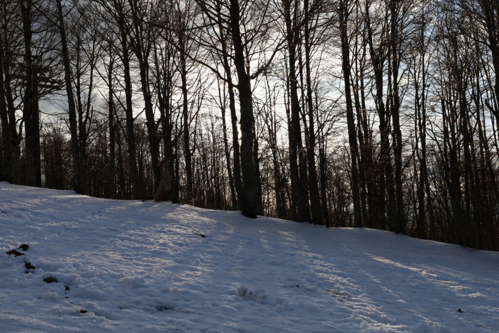 Monte Amiata