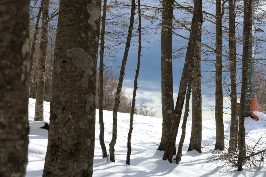 Monte Amiata