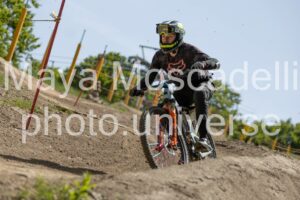 Foto 3389