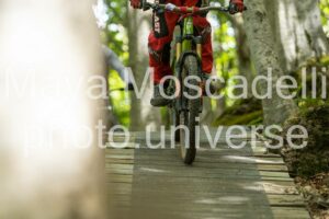 Foto 3577
