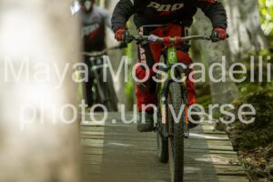 Foto 3578