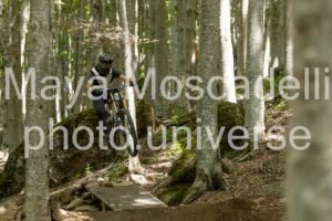 Foto 3673