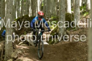 Foto 3688