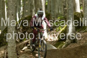 Foto 3706