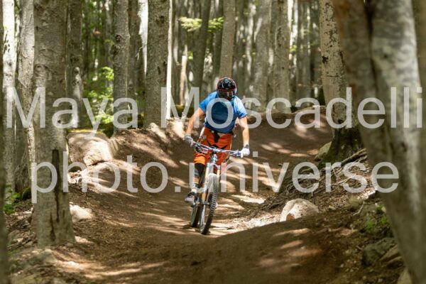 Foto 3726