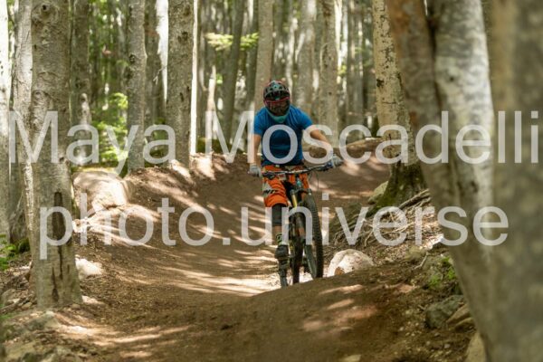 Foto 3728