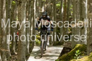 Foto 3756