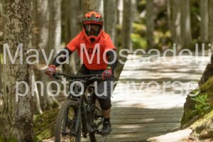 Foto 3762