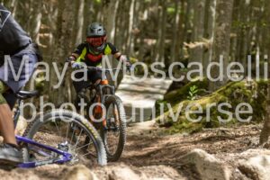 Foto 3783