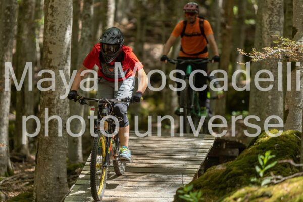 Foto 3793
