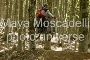 Foto 3815