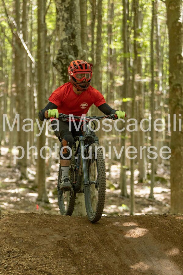 Foto 3855