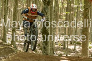 Foto 3875