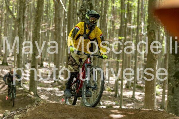 Foto 3878