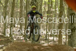 Foto 3891