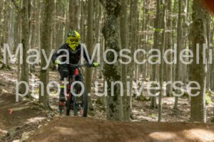 Foto 3954