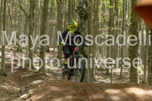 Foto 3955