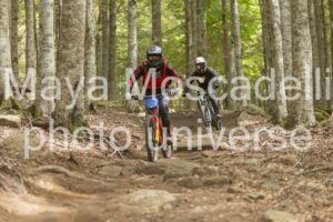 Foto 3985