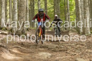 Foto 3986