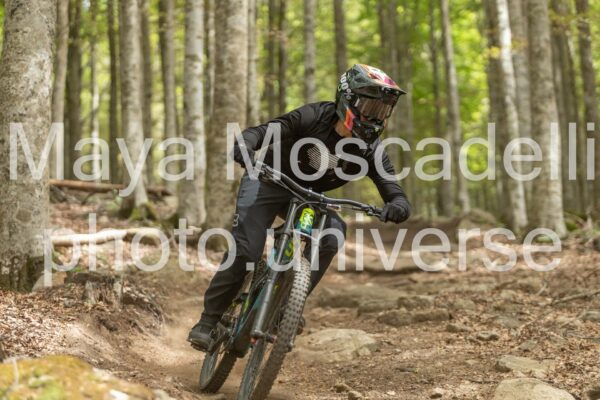 Foto 3991