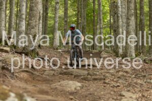 Foto 3995