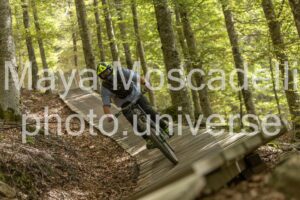 Foto 4101