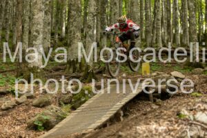 Foto 4265