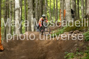 Foto 4290