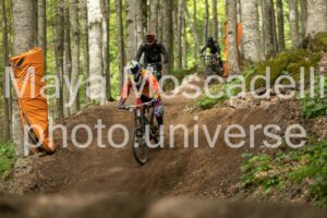 Foto 4293