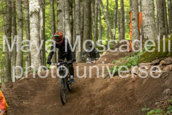 Foto 4294