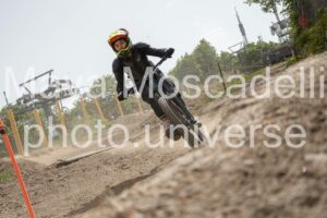 Foto 4421