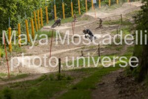 FOTO 4558