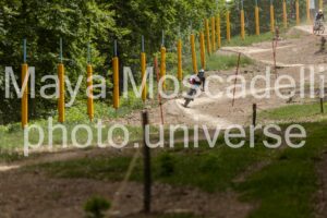 FOTO 4575