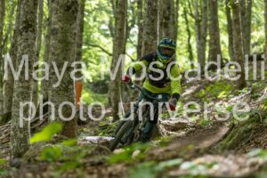 FOTO 4598