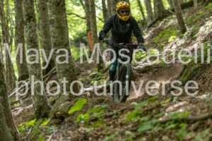 FOTO 4623