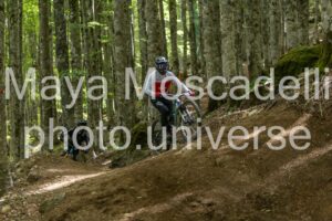FOTO 4704
