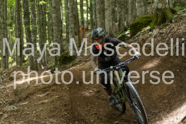 FOTO 4725