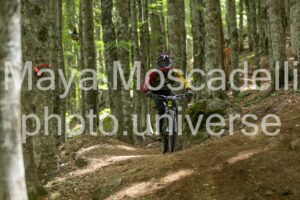 FOTO 4768