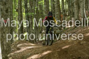 FOTO 4769