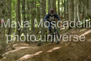 FOTO 4781