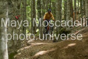 FOTO 4783