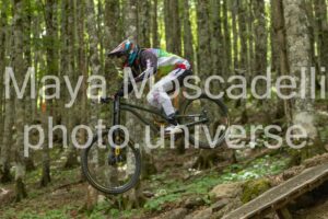 FOTO 4803