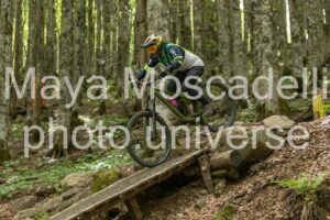 FOTO 4805