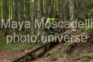 FOTO 4834