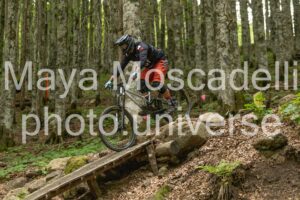 FOTO 4901