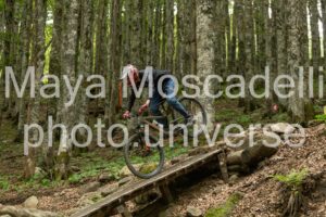 FOTO 4915