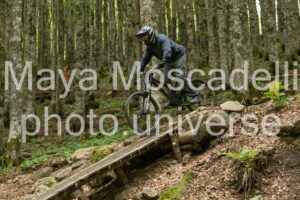FOTO 4919