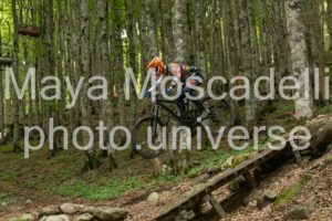 FOTO 4947