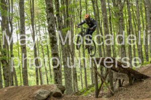 FOTO 4995